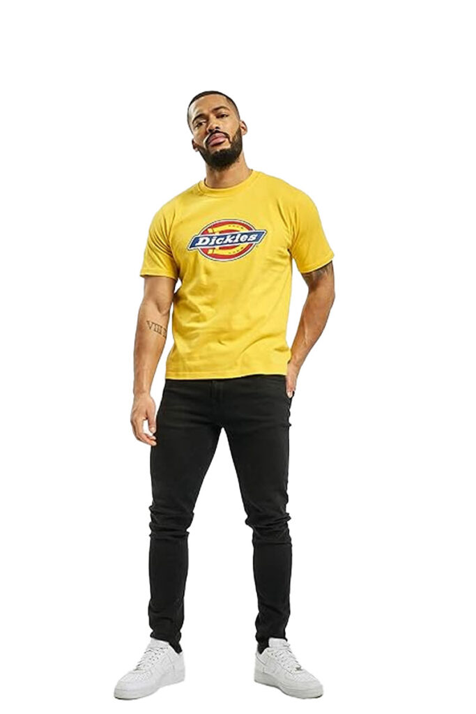 טי שירט Dickies לגברים