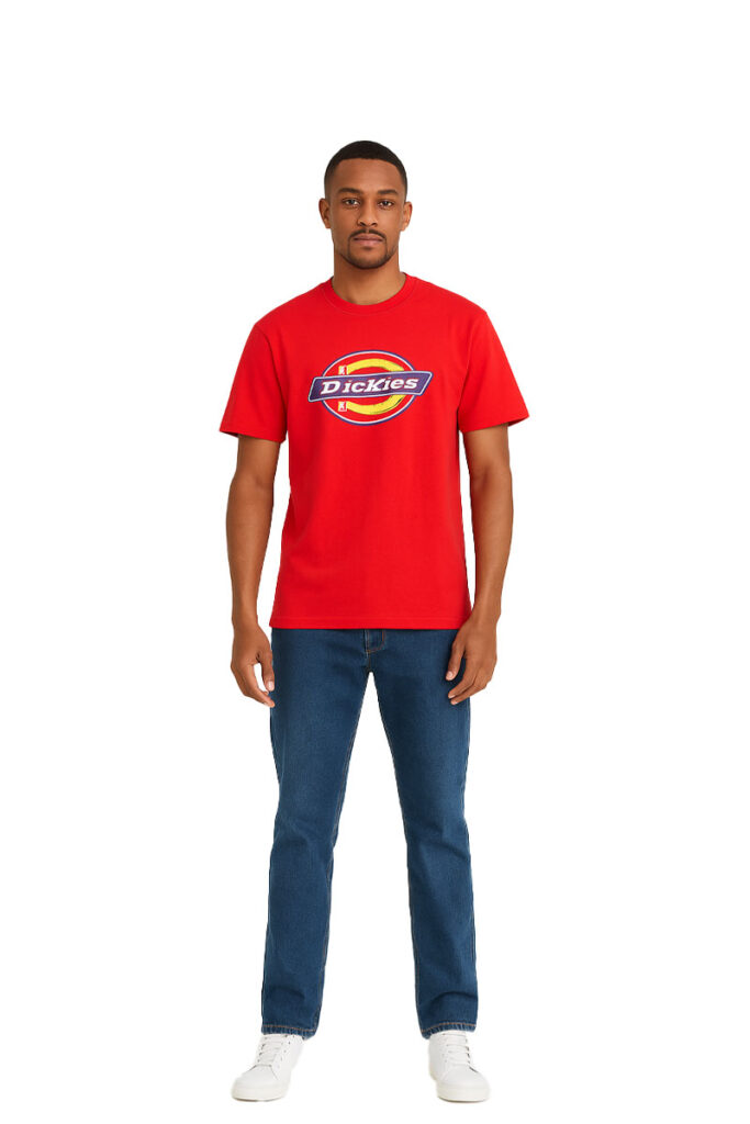 טי שירט Dickies לגברים